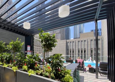 Rooftop Planting Chicago