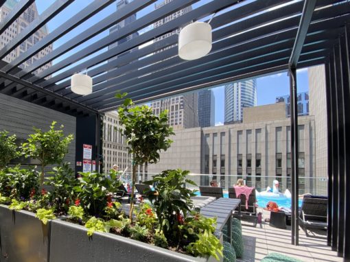 Rooftop Planting Chicago