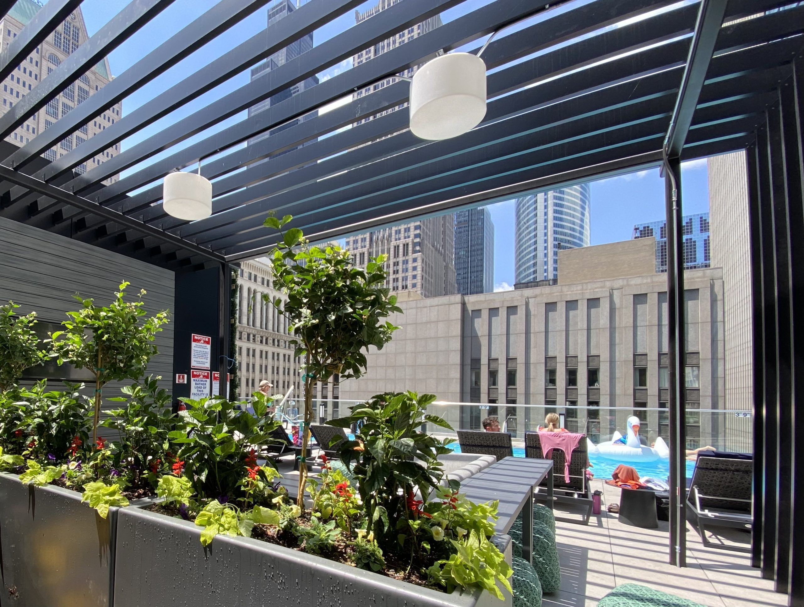 Chicago Rooftop Planting