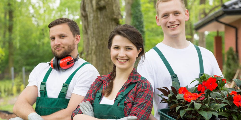 Eco Design Landscaping Team Eco Design Landscaping Team