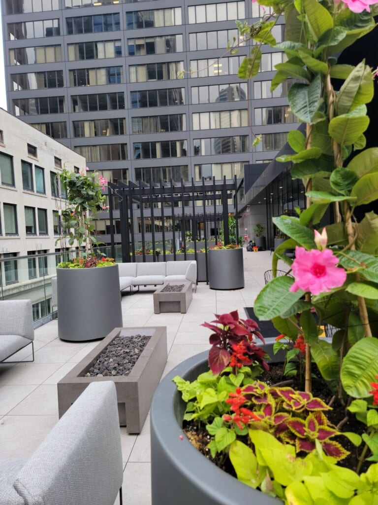 Chicago Design Landscaping Chicago Design Landscaping