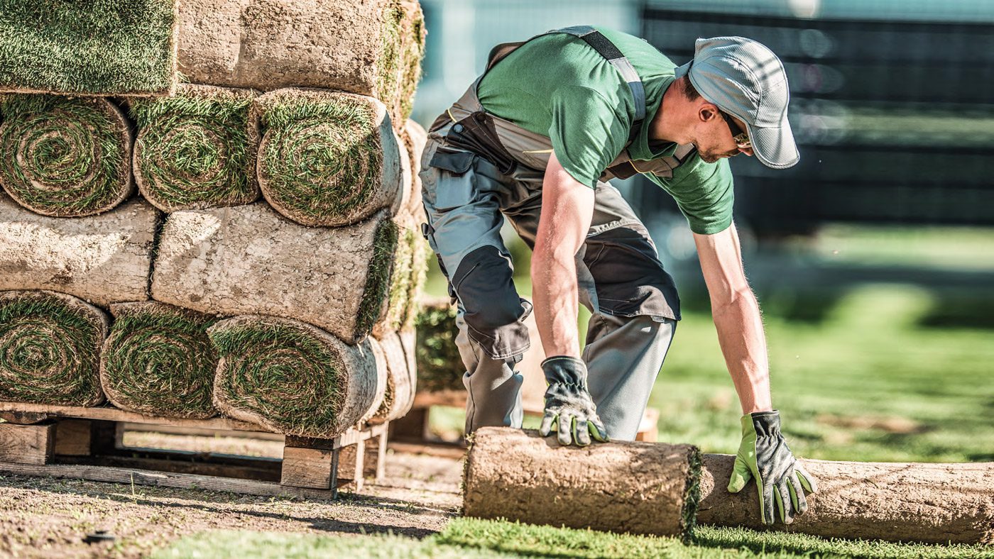 sod installation lemont